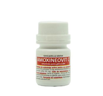 Amoxineovit C 100cp