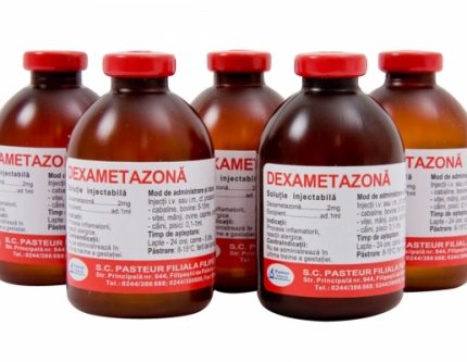 Dexametazona 50 ml