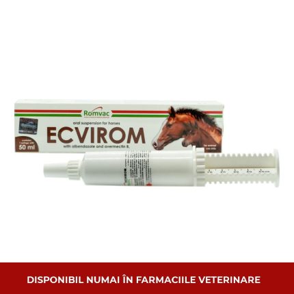 Ecvirom I