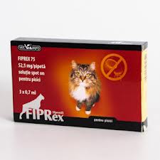 Fiprex pisica / 1 pipeta