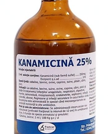 Kanamicina 25% 100ml