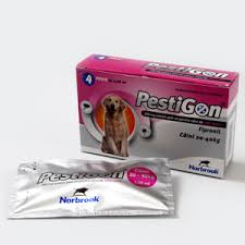Pestigon Dog L (20 – 40 kg) (1 pipeta)