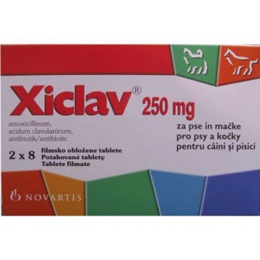 Xiclav 250 mg / cpr